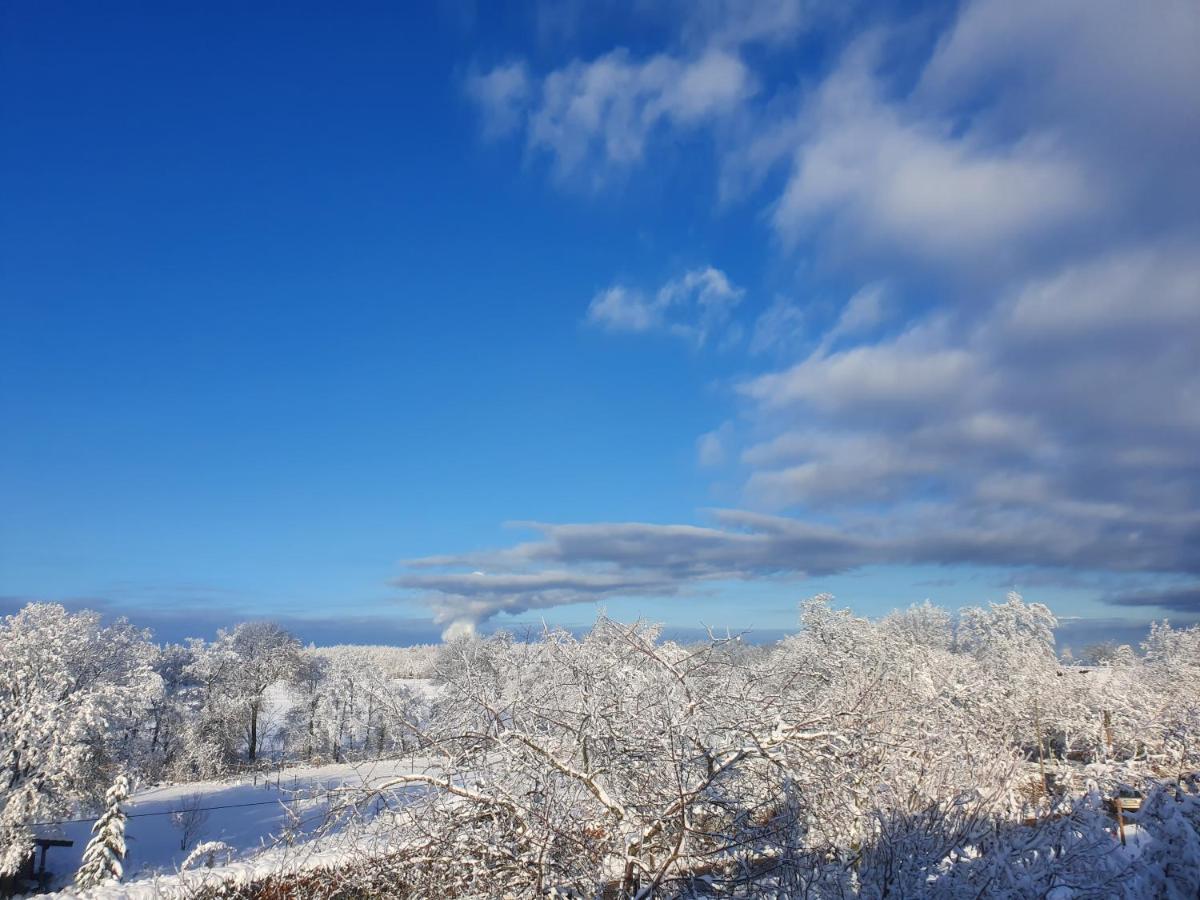 Energetischer Urlaub In Der Eifel Germeter Eksteriør billede