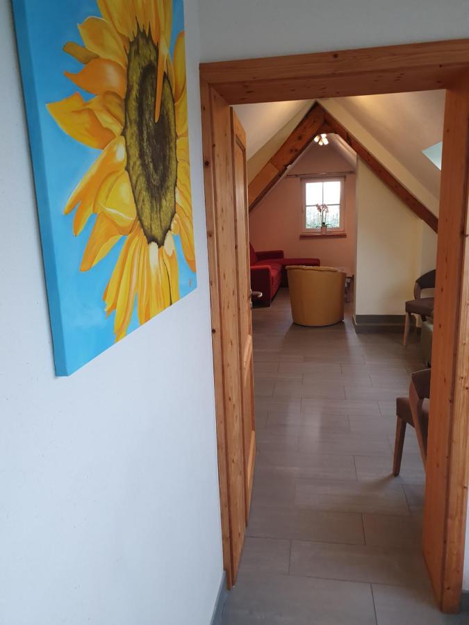 Energetischer Urlaub In Der Eifel Germeter Eksteriør billede
