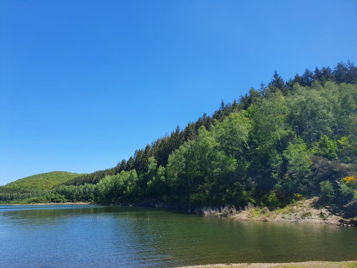 Energetischer Urlaub In Der Eifel Germeter Eksteriør billede